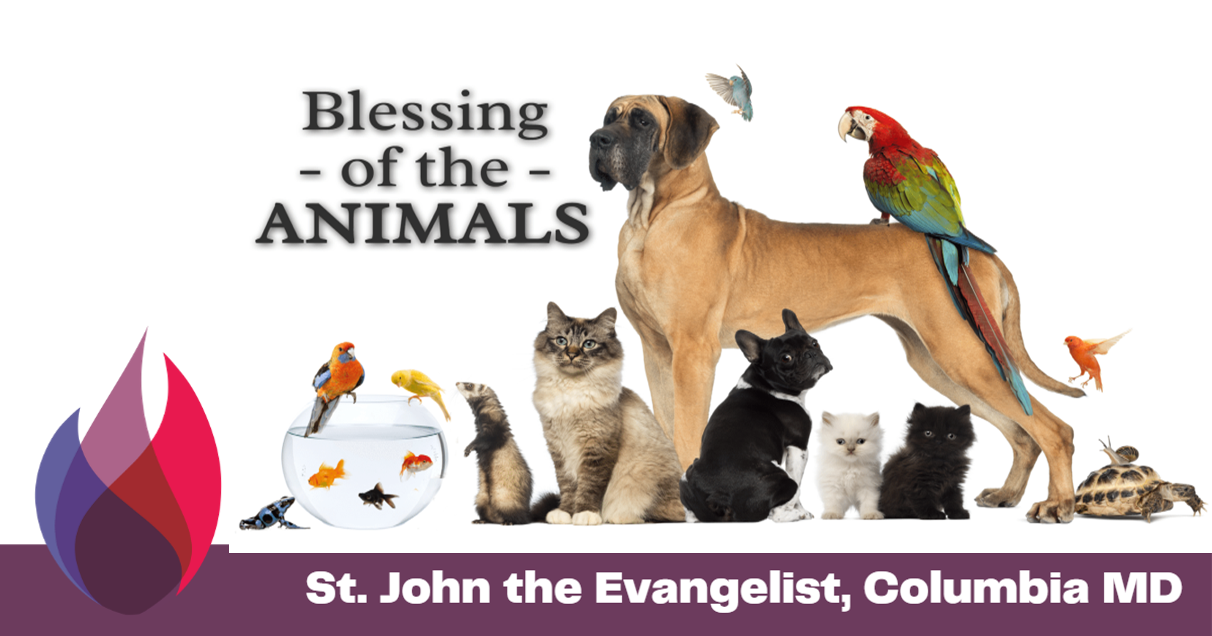 Blessing of the Animals