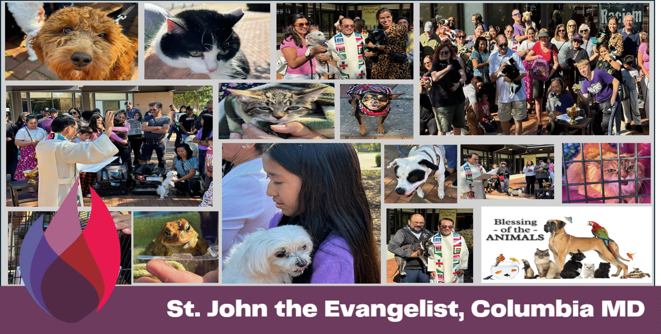 Blessing of the Animals