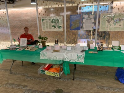 Ireland display during Diversity event